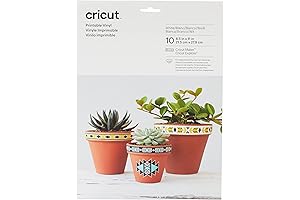 Cricut Print Maker Vinyl| Print & Cut Small Labels, Stickers, & Art