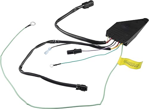 Lippert Components - Control de paso (9510 Control para IMGL/9510) 379146.