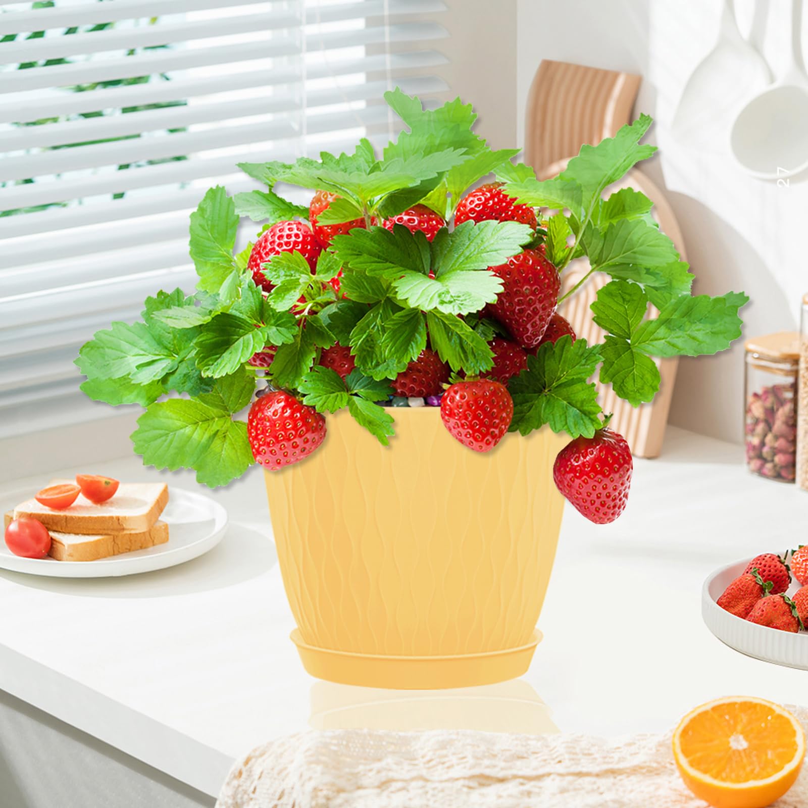 Macetas de 6 pulgadas para plantas con agujeros de drenaje y platillo, paquete de 5 macetas de plástico para plantas de interior para plantas al aire libre, decoración del hogar, macetas de