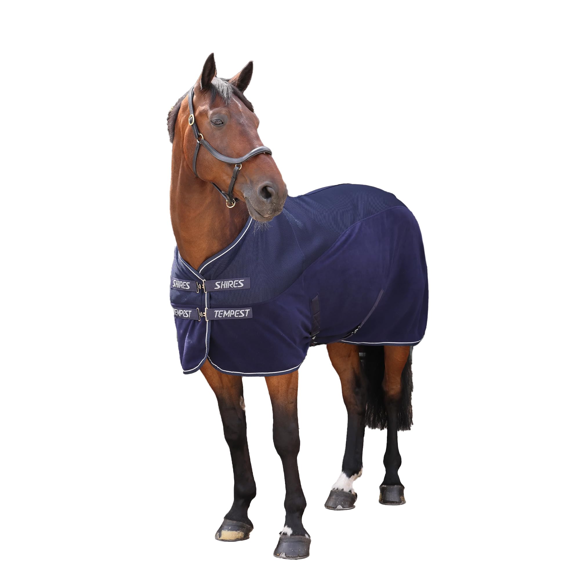 Tempest - Original Standard Pferde Cooler Weidedecke (175cm) (Marineblau)