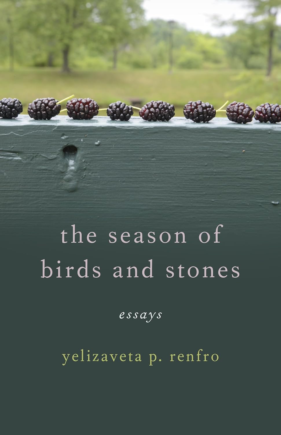 The Season of Birds and Stones: Essays (Crux: The Georgia Series in Literary Nonfiction)