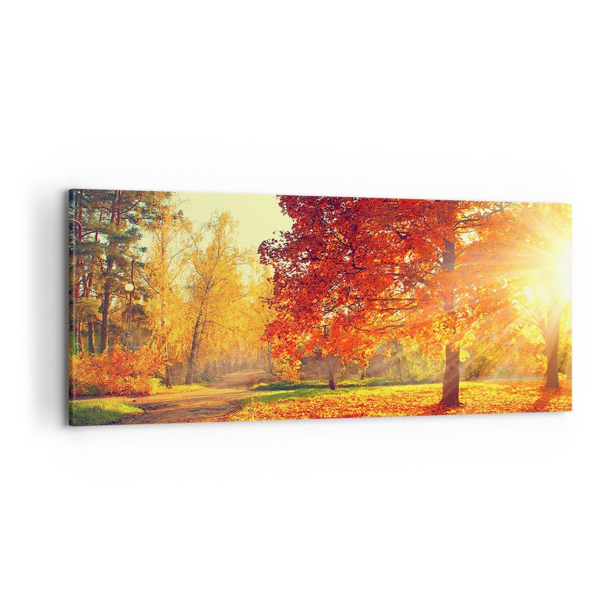 Leinwanddruck 'Herbstbaum' – 30x40 Cm, Wandfertig Auf Keilrahmen, Sonnenlicht Durch Ahornblätter, Für Wohnzimmer & Mehr