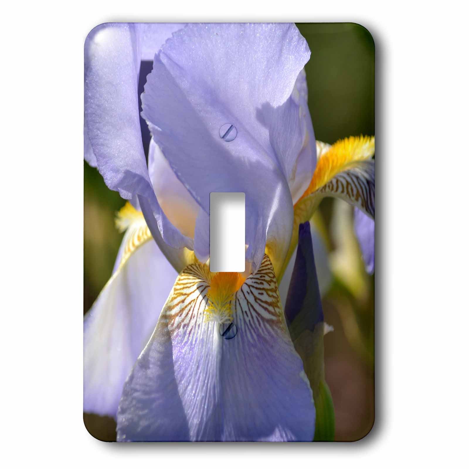 Lavande Iris interrupteur à bascule 3dRose lsp_195662_1 pour salon et chambre