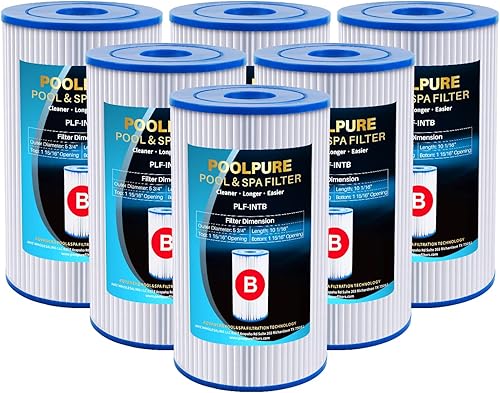 POOLPURE Filtro de repuesto tipo B para piscina, compatible con el cartucho de filtro de piscina Intex 29005E Easy Set, 6 unidades