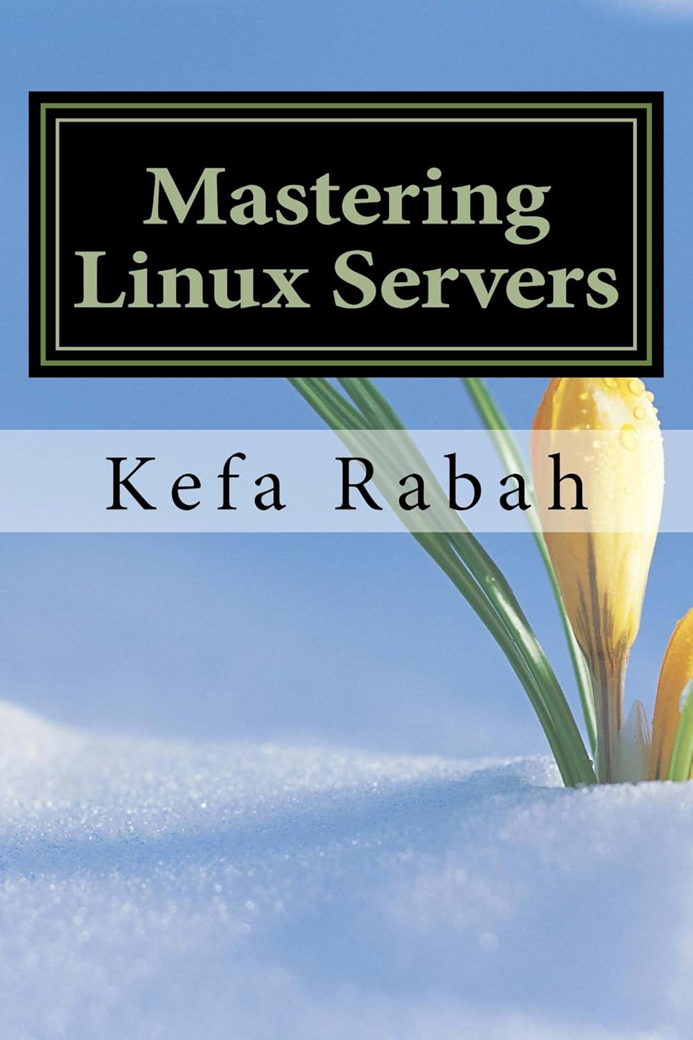 Mastering Linux Servers RHEL6 CentOs 6 Ubuntu 14.04 LTS (Volume Book 1) eBook