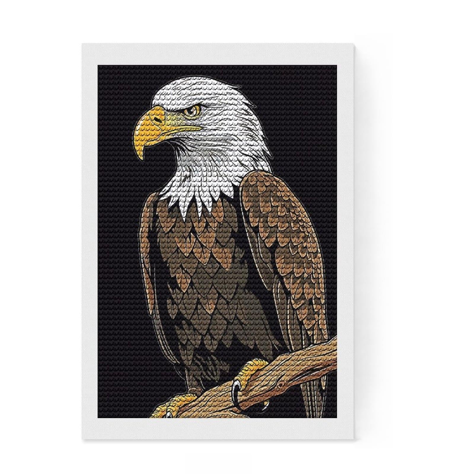 Junmoney Bald Eagle Bird Diamond Art Canvas 8"x12", for Family Craft Time, Decorate Your Room, Christmas Gift, Bedroom Decor, with Tool Kit