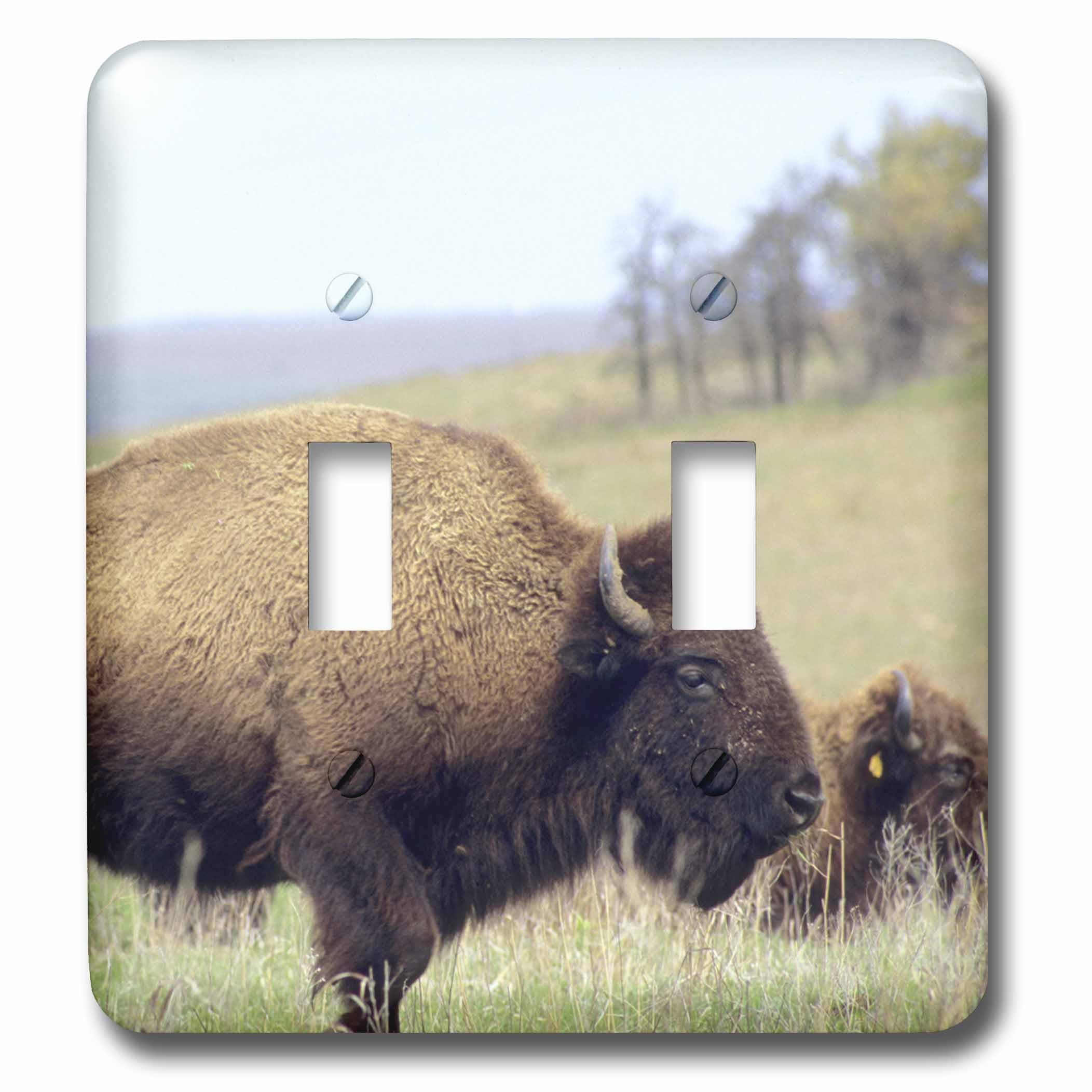 Double interrupteur à bascule American Buffalo Wildlife NA02 3dRose