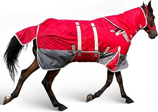 Horse Turnout Blankets for Winter 1800D Medium Weight (220g Cotton Fill) Horse Blanket with Neck Cover Leg Straps Belly Wrap (72”)