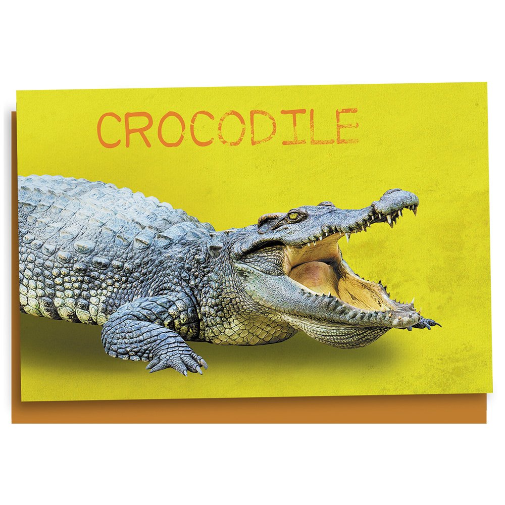 Tree-Free Grüße Notizkarten-Set, 12 Stück – 10x15 Cm, Recyceltes Papier Mit Umschlägen