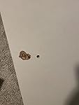Review Image by Poor quality Poor quality