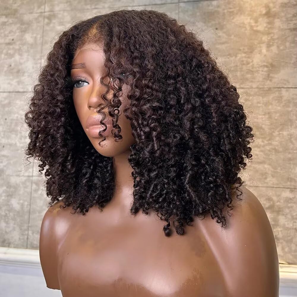 4C Kinky Edges Ombre Dark Brown Kinky Curly Transparent HD 13X4 Invisible Lace Front Glueless Wigs 180% Density Short Bob Curly Brazilian Human Hair Virgin Wigs with Curly Baby Hair Bleached Knots