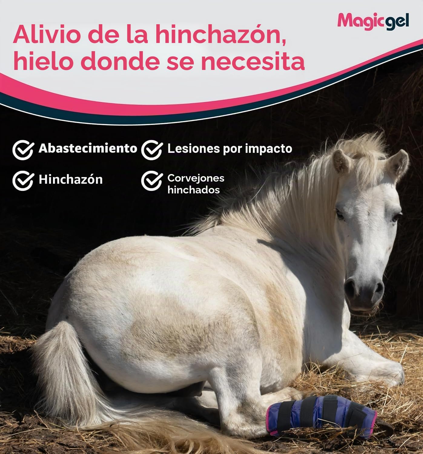 Magic Gel Bolsa Gel Frio para Caballo – 2x Bota de Hielo Reutilizable para Lesiones de Caballos en Tobillos Rodillas Piernas y Pezuña - Pack de 2