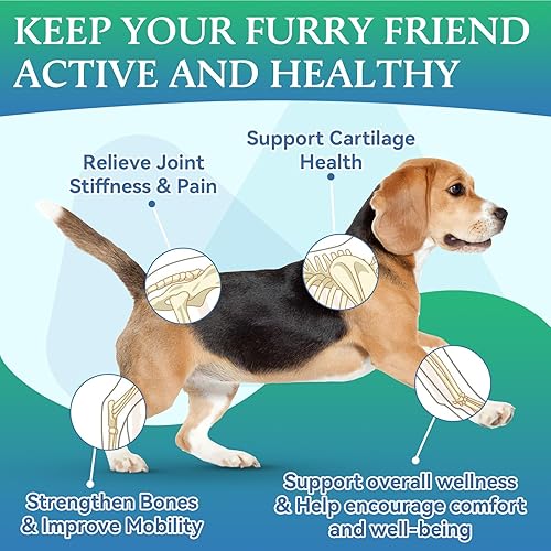 Miniatura 2 de Suplemento articular para perros, suplemento para articulaciones de perro, glucosamina, condroitina para cadera y articulaciones, golosinas para
