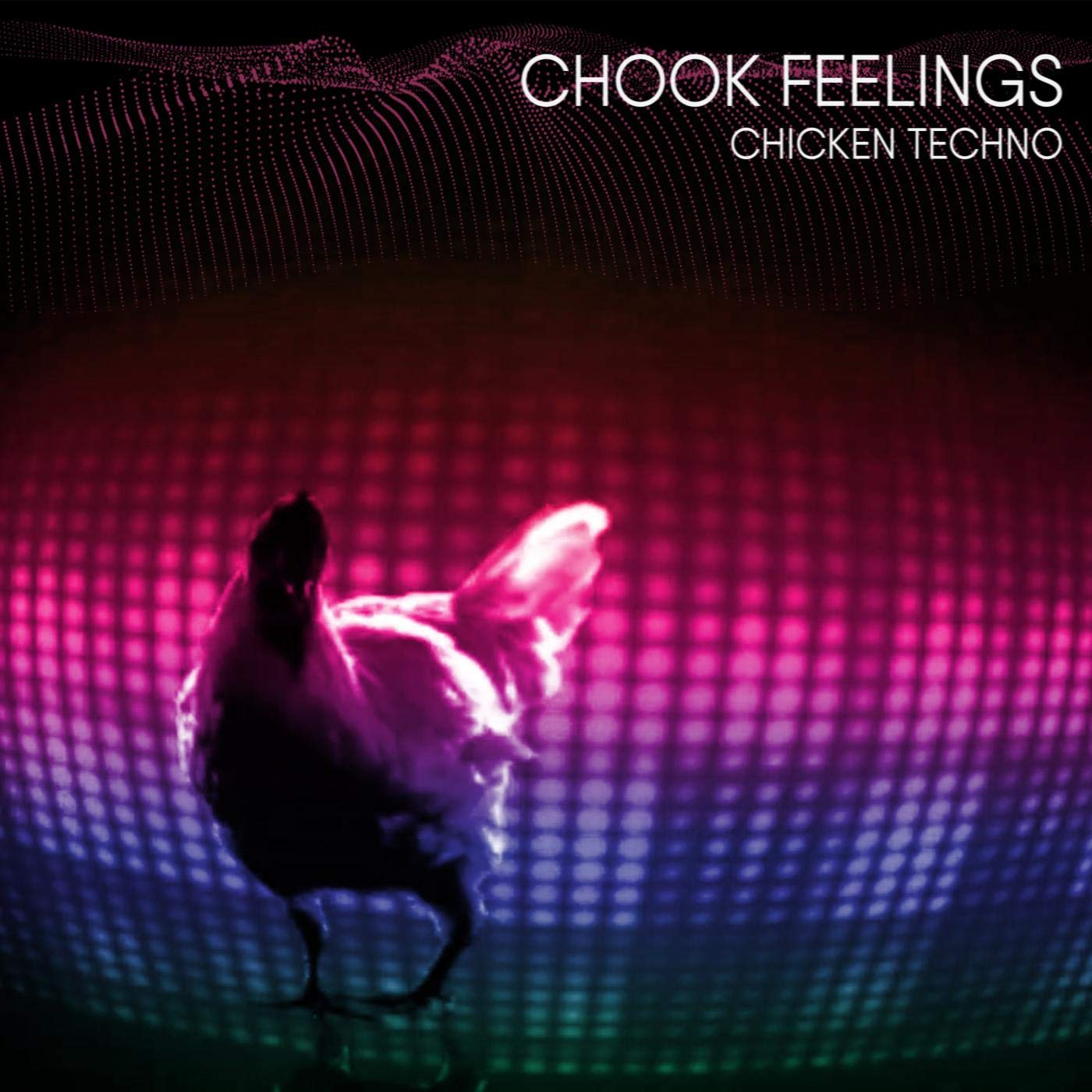 Chook Feelings