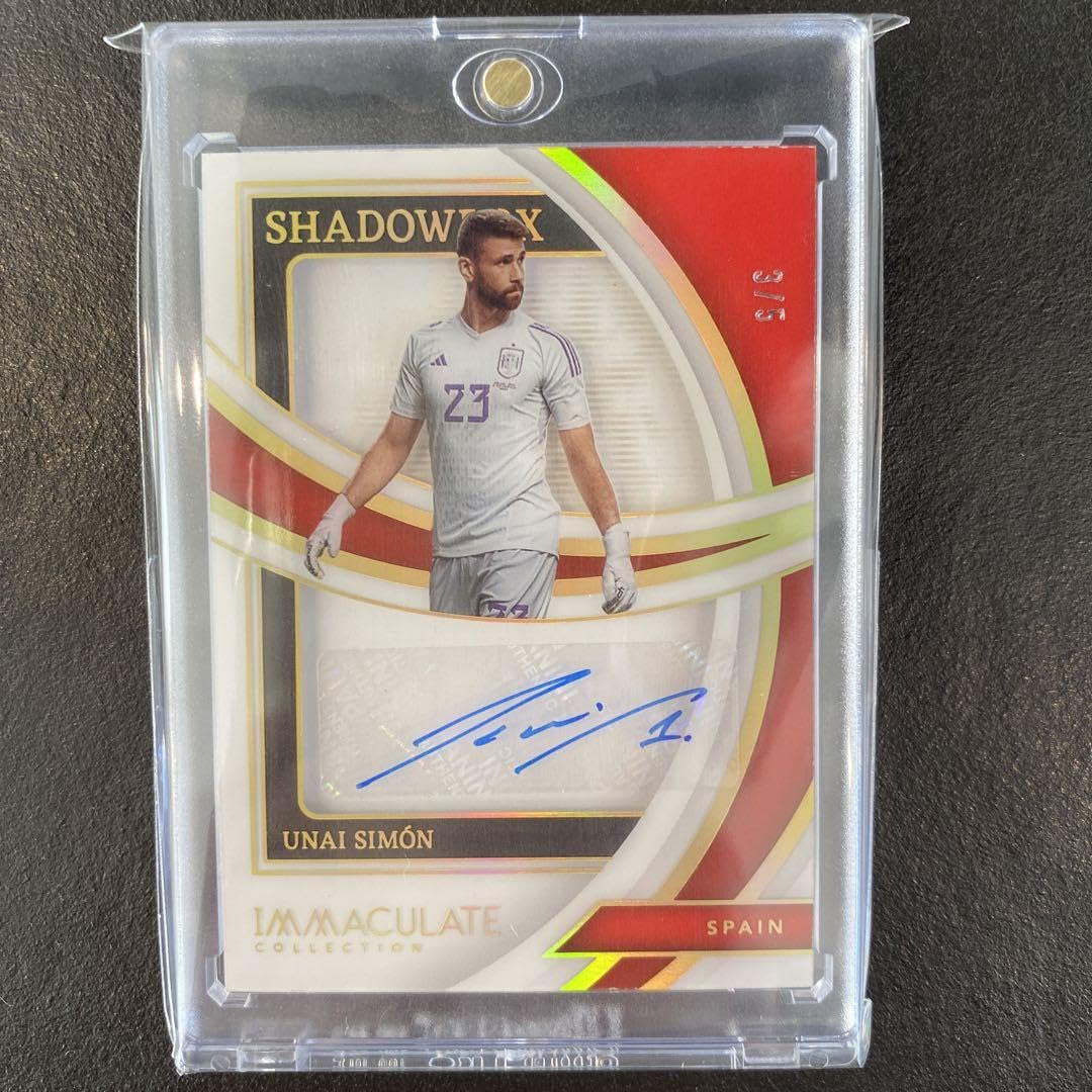 値下げ】 Panini Immaculate イングランド デレ・アリ 直筆サインカード