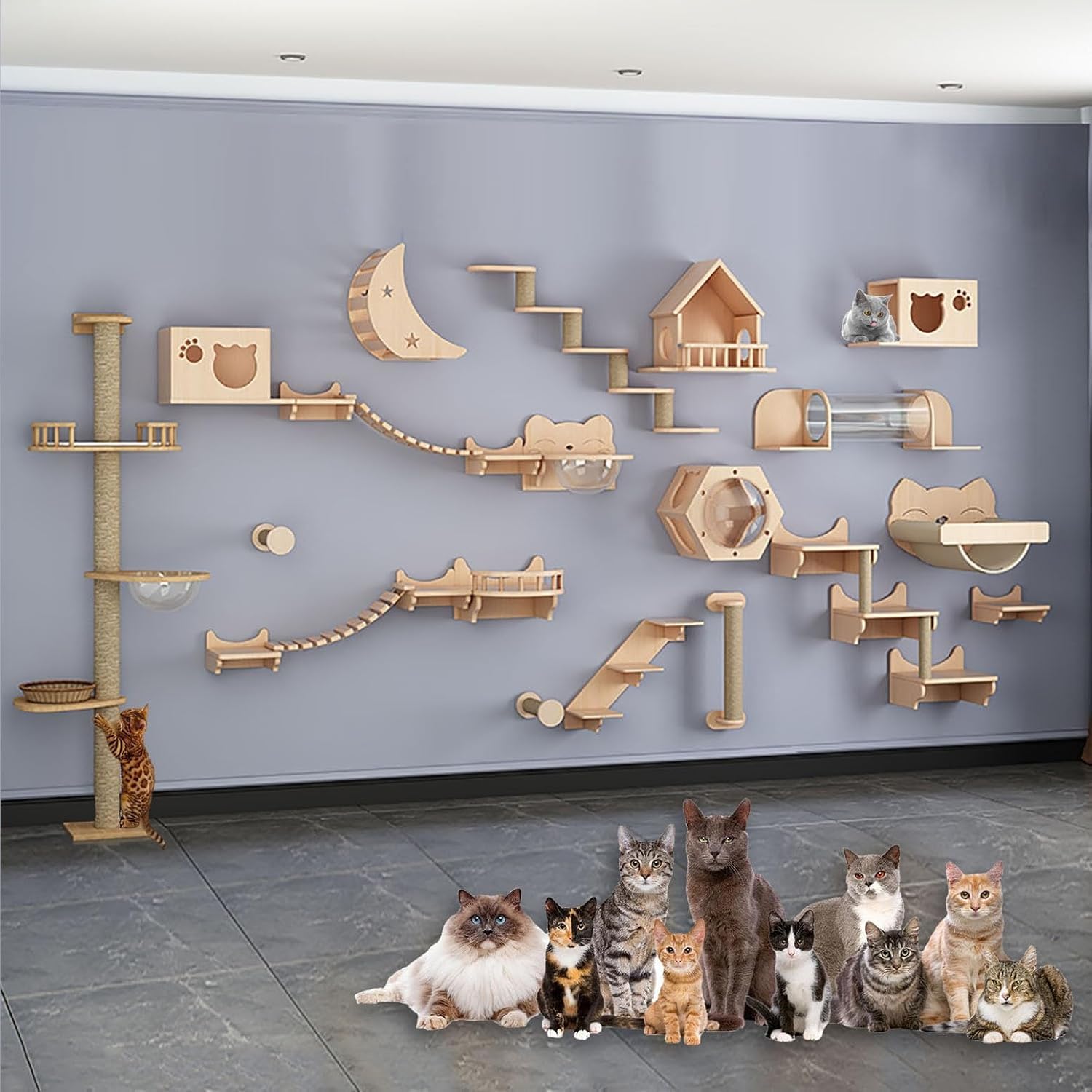 Mensola da Muro per Gatti, Scale per Gatti per Set da Parete, mensola per Gatti da Parete per Gatti, Pannello Ispessito per Una Facile Manutenzione e Pulizia, Combinazione Gratuita Fai da Te