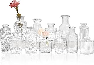 Set of 12 Glass Bud Vases-Small Vases for Flowers-Mini Bud Vases in Bulk...