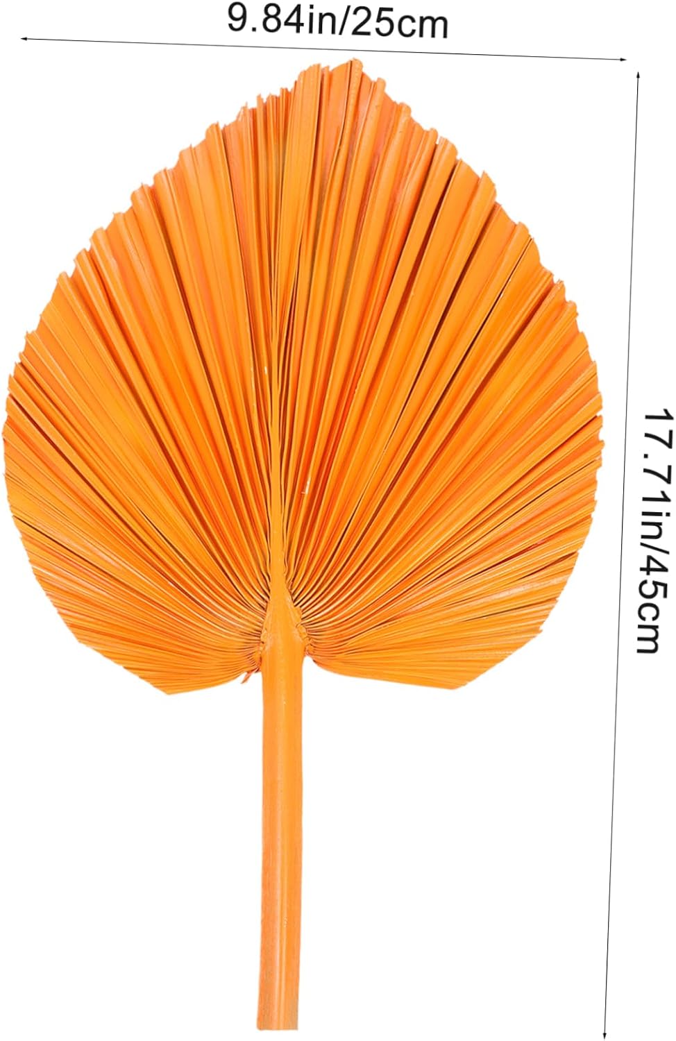 Dried Palm Leaf Decorative Fan Artificial Tropical Leaves for Boho Weddings for Arrangements Rustic