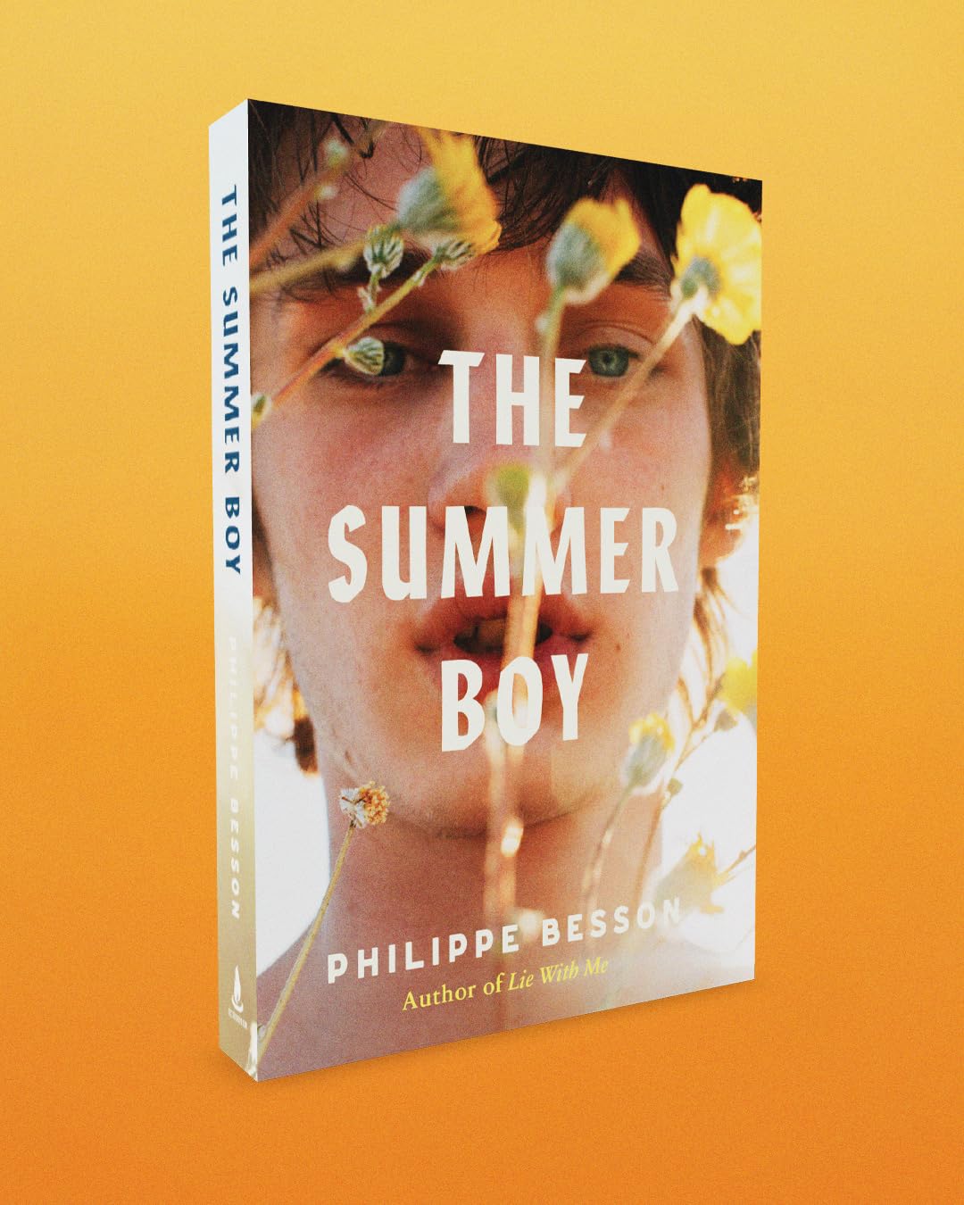 The Summer Boy: The essential literary beach read from the author of Lie With Me