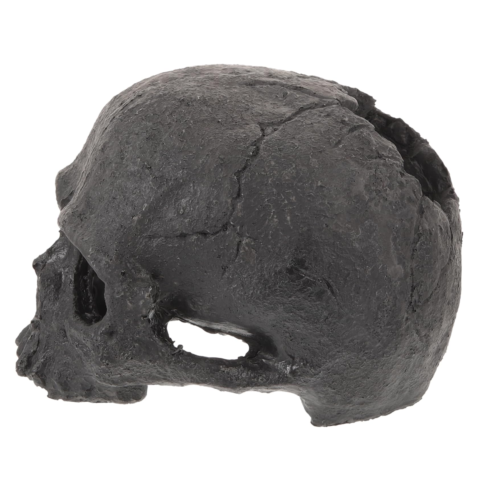 Toddmomy 5pezzi Decorazione Acquario Resina Forma di Teschio Ornamento per Pesci Rifugio per Rettili Design Realistico per Terrari e Acquari per Halloween
