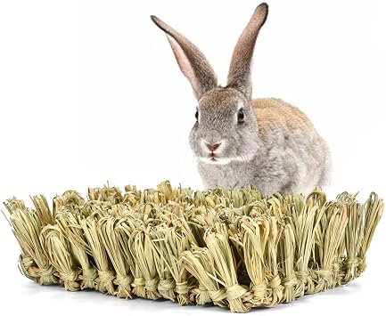 Hamiledyi Rabbit Grass Bed Bunny Natural Woven Foraging Mat Guinea Pig Hay Mat Enrichment Toy Scratch Pad for Chinchilla Squirrel Hedgehog10.6x7.5x3.5inches