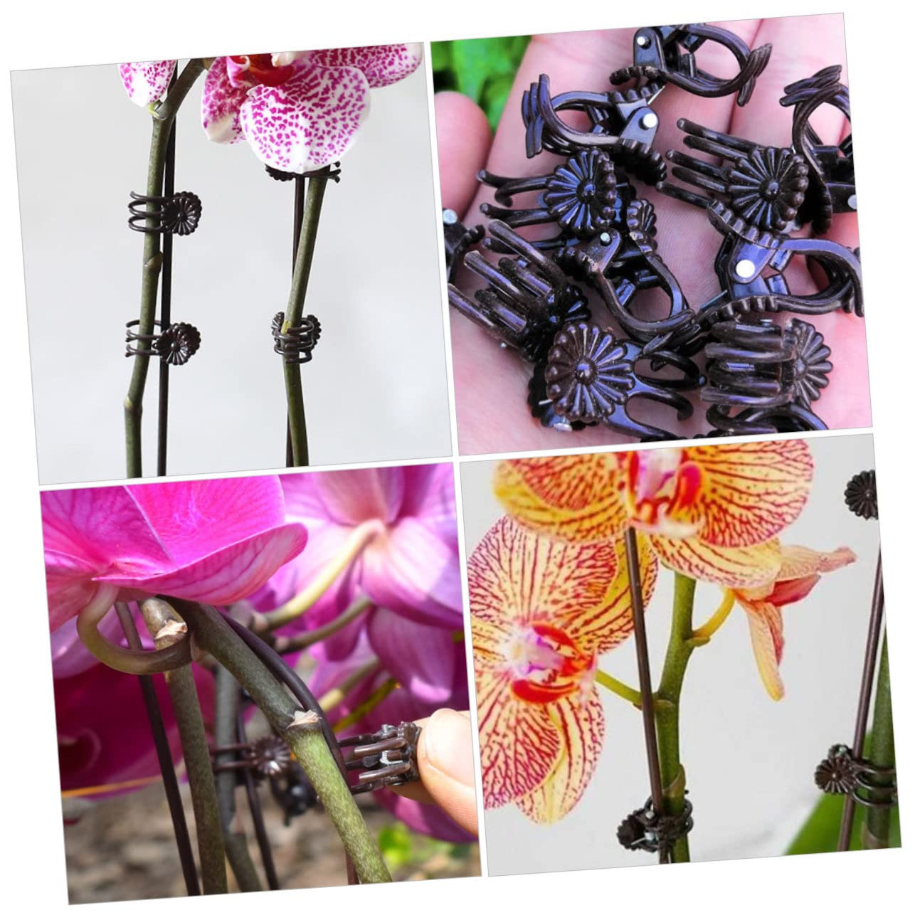 UPKOCH 2 Sätze Teiliges Set Pflanzstützen Clips Mit Eisenstäben Und Klammern Für Kletterpflanzen Wetterfest Wiederverwendbar Zur Unterstützung Von Orchideen Und 20 Stück * 2