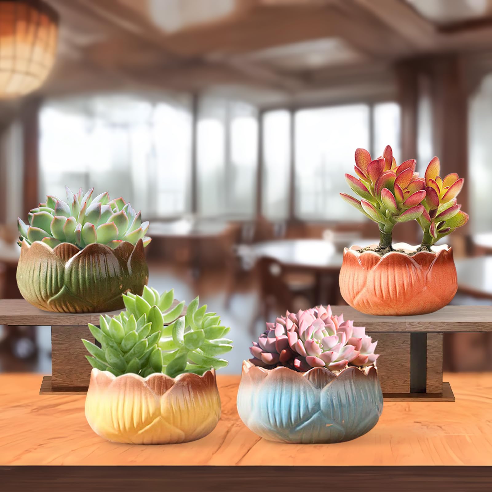 Vasi per Piante Grasse, Vaso per Cactus e Succulente, Set di Vasi Decorativi con Foro di Drenaggio, per Piante da Giardino da Interno/Esterno, Piantine e Semi (Confezione da 4)