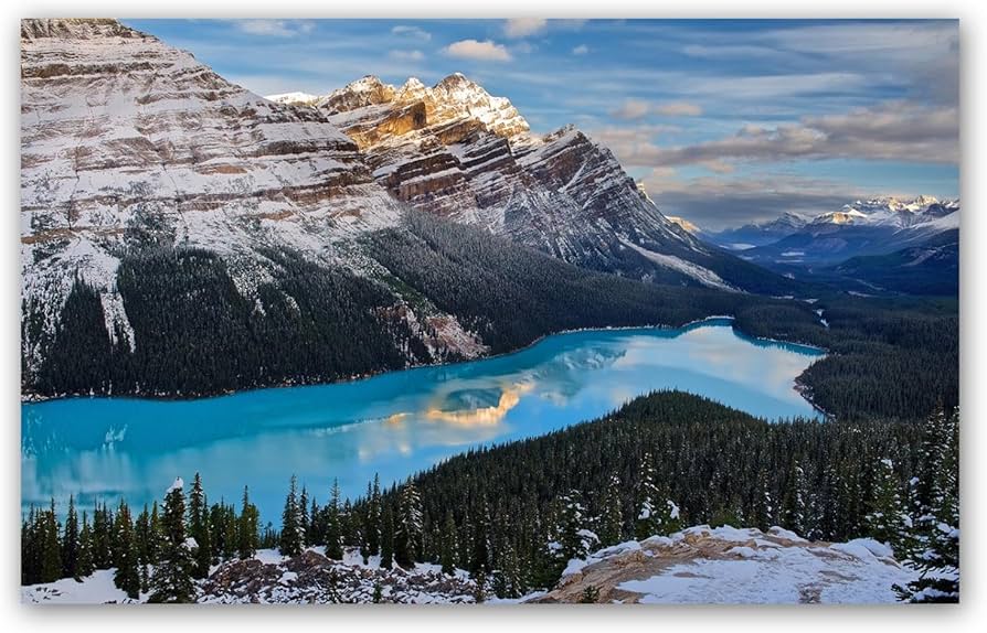 Amazon.com: Forest Wall Art Canvas - 