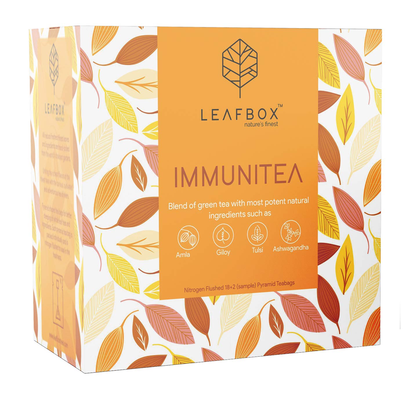 Leafbox Immunity Tea Iced Green Tea with Amla, Tulsi, Turmeric, Ginger Improves Hormonal