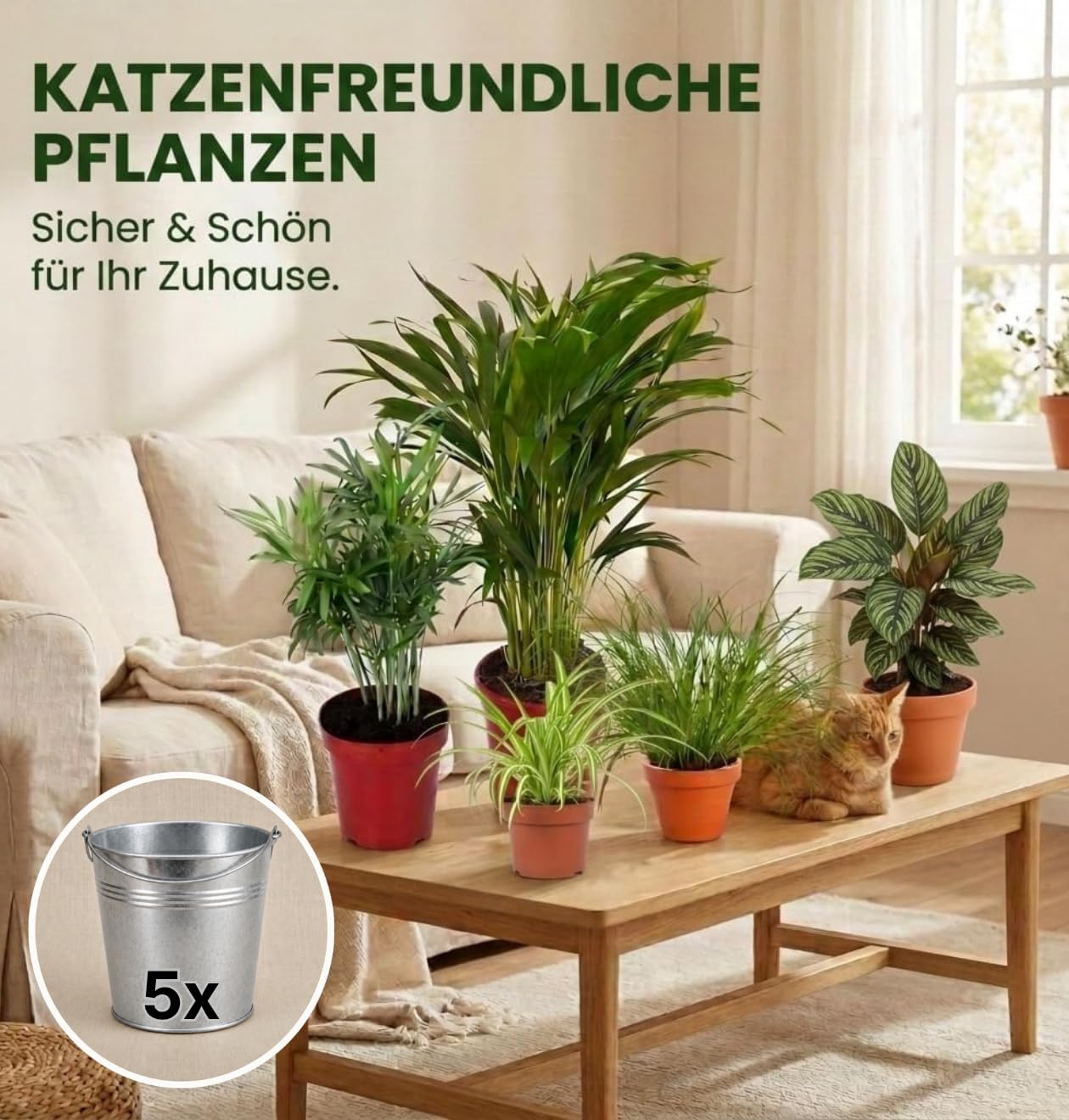 “Katzenliebhaber” Pflanzenset + 5x Zinktopf | 5er-Set | Katzengras, Bergpalme, Areca, Grünlilie, Calathea | ca. 30-50 cm | Ø 12-15 cm Topf | Pflegeleichte Zimmerpflanzen für Wohnung und Büro