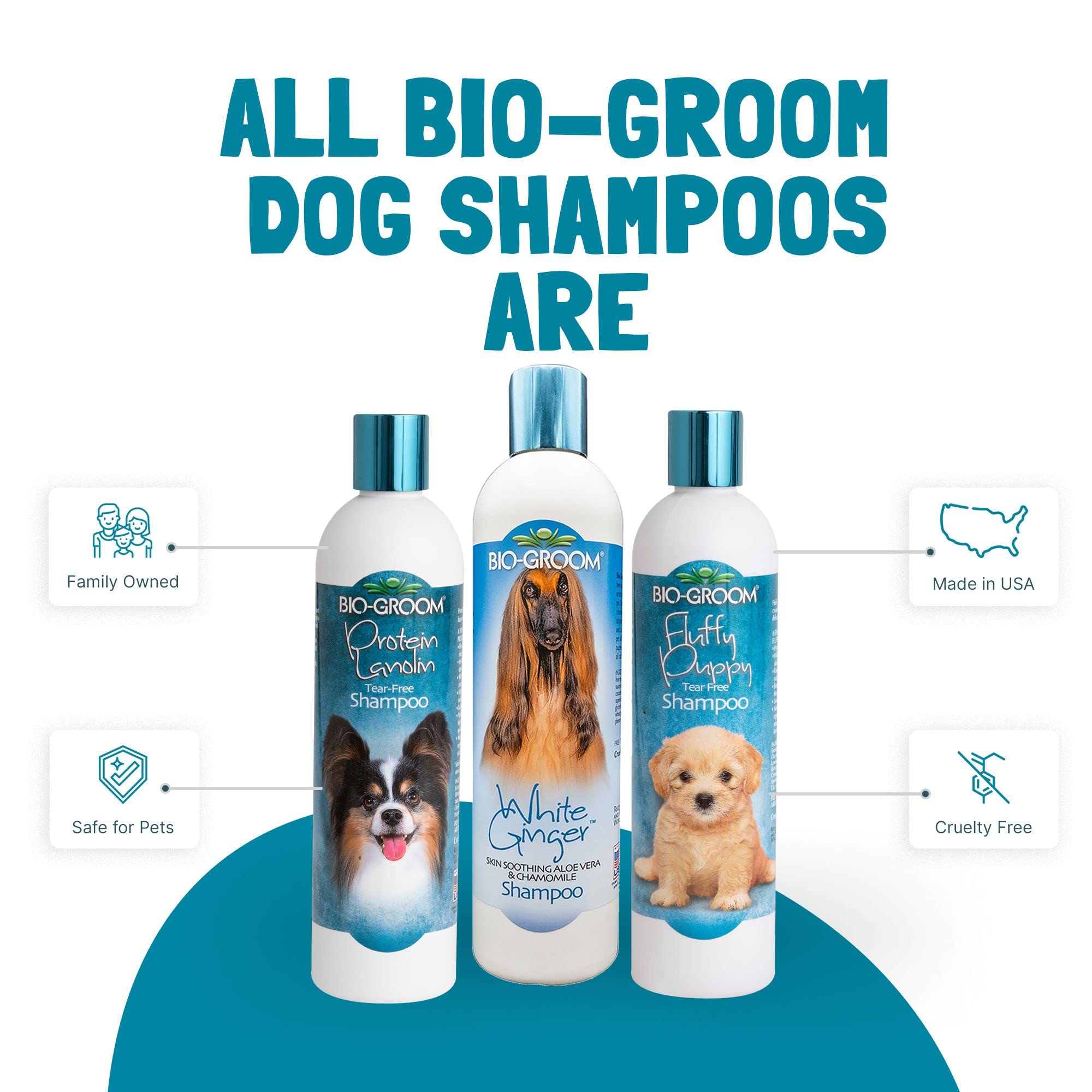 BIO-GROOM Blanc Gingembre Shampooing, 3,8 l