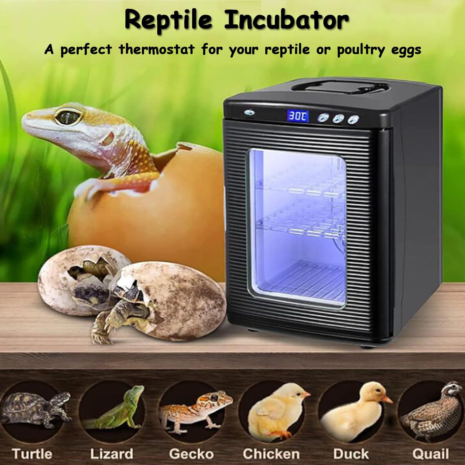 Incubadora de reptiles, incubadora de laboratorio científica, incubadora automática de 25 l, refrigeración y calefacción de 5 °C a 60 °C, criadero de cría de huevos de reptiles, trabajo,Black
