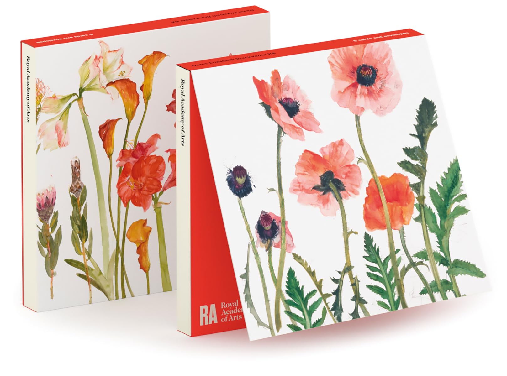 Royal Academy Elizabeth Blackadder Floral Set of 6 Art Greeting Cards (15 x 15cm)