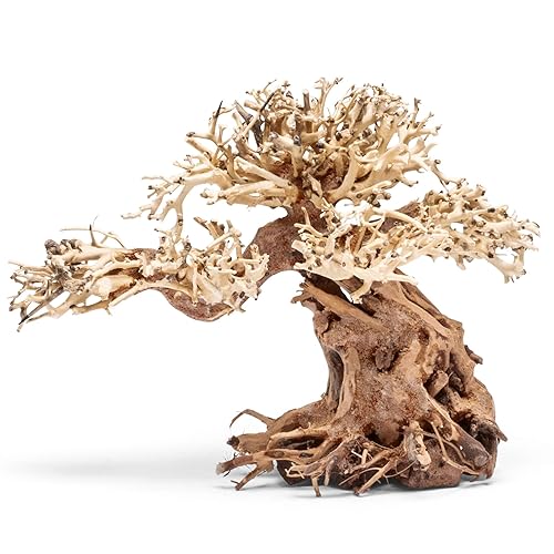 Ultum Nature Systems Bonsai - Handcrafted Hardscape Driftwood for Aquarium,