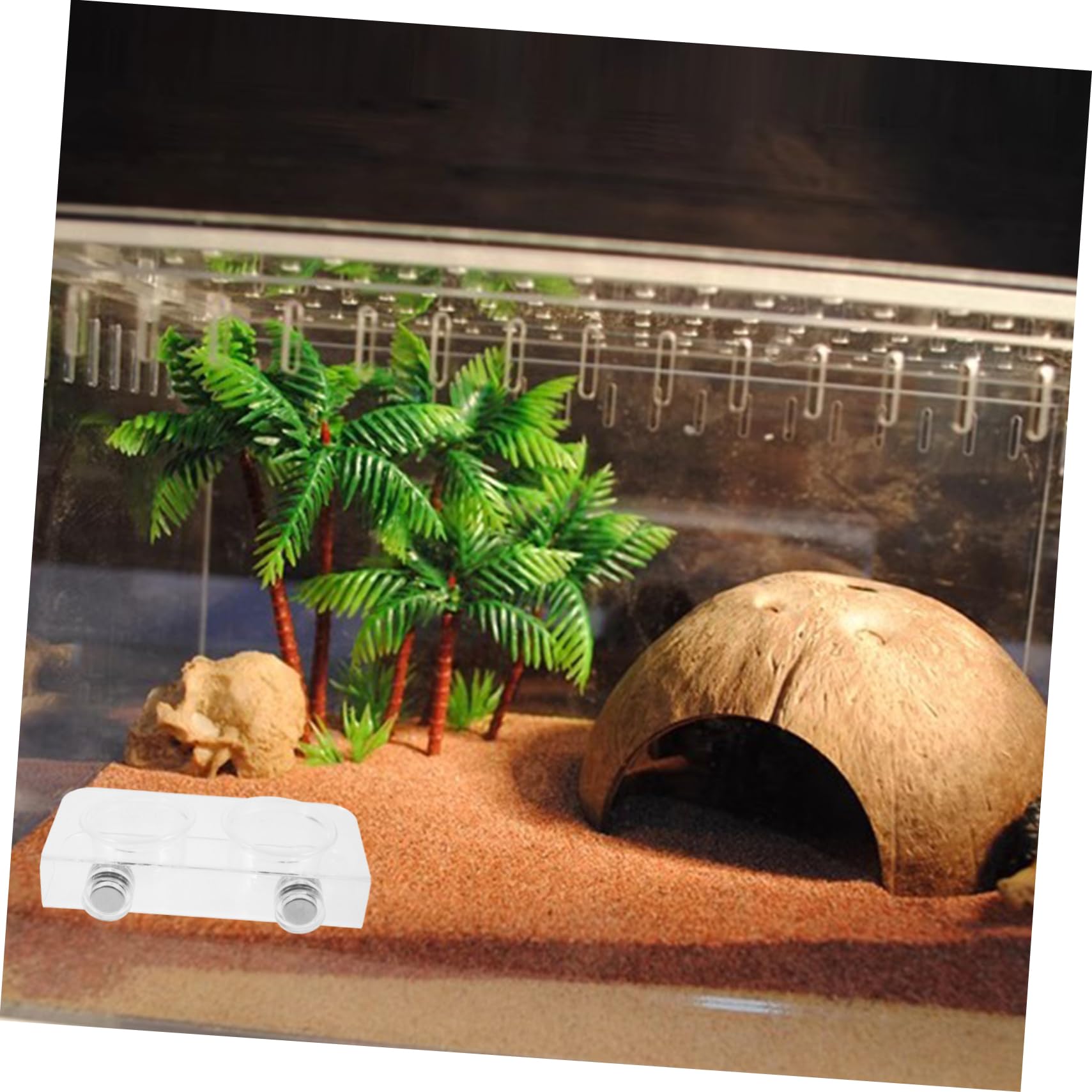 VANZACK 4juegos Tazón De Alimentación Magnético para Reptiles Comedero y Bebedero para y Reptiles De Limpiar y Usar Terrarios Cuencos