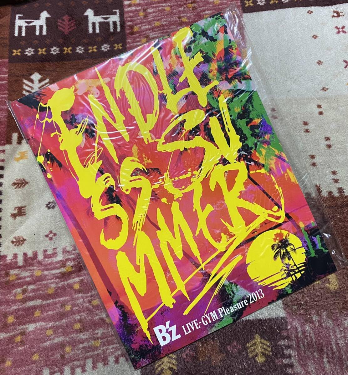 Amazon.co.jp: B'z LIVE-GYM Pleasure 2013 ENDLE SUMMERパンフレット
