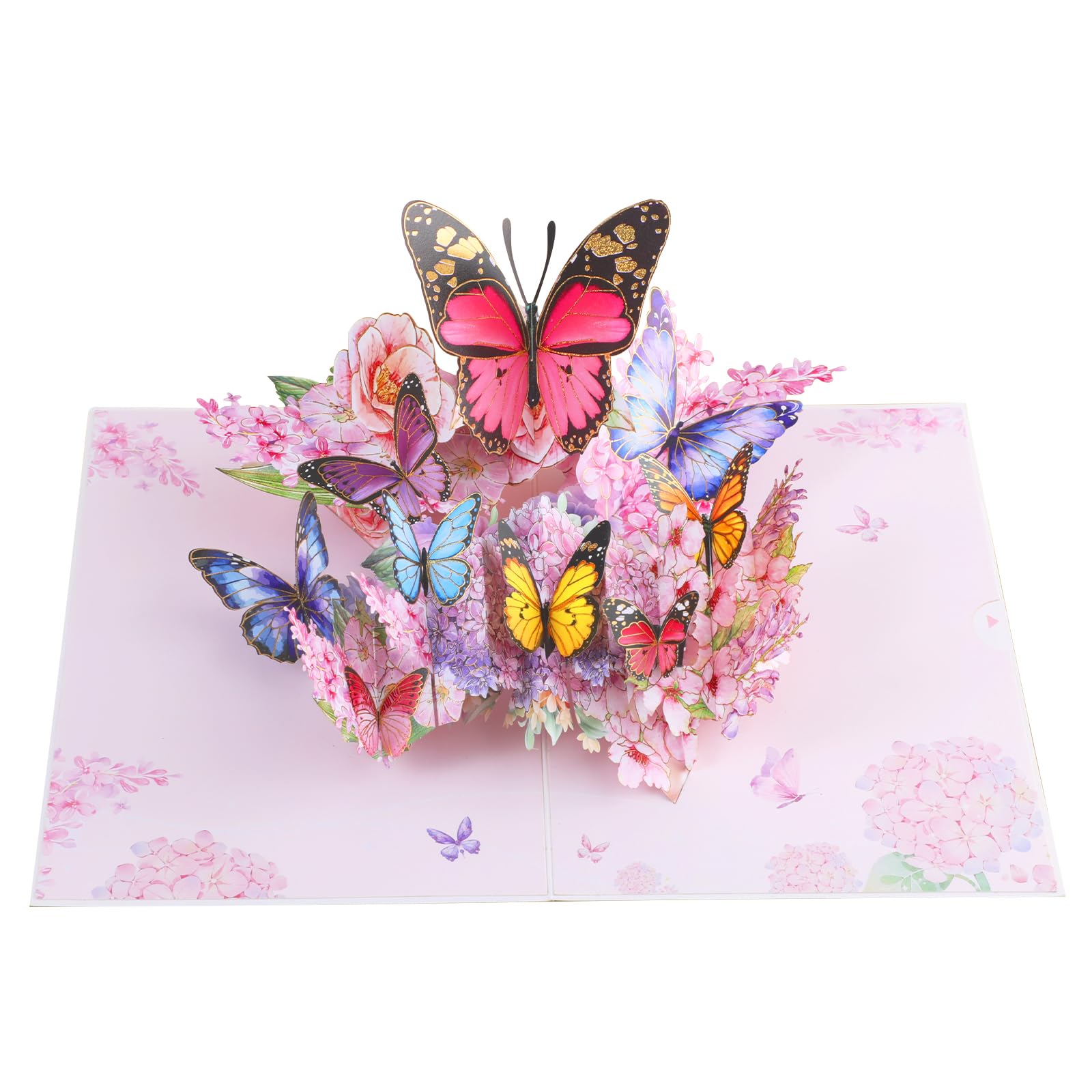 Amazon.com : Iskueal 3D Butterfly Greeting Cards, Flowers