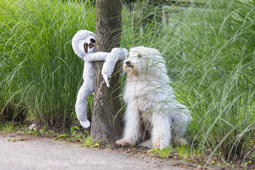 Karlie BZ Plush Sloth Mees XL Dog Toy Grey, 80 x 30 x 16 cm