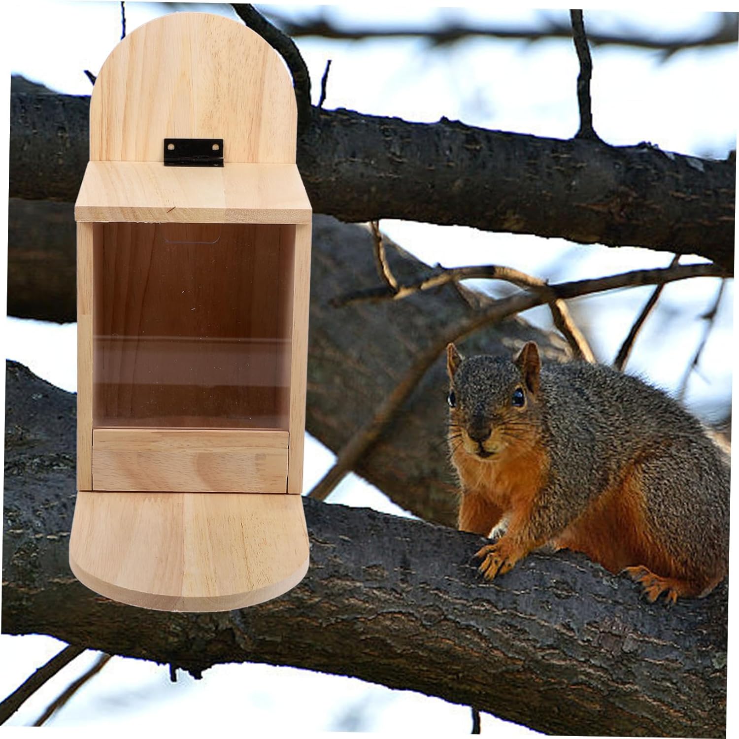 Yardwe Wooden Squirrel Feeder for Garden Outdoor Hanging Feeder with Removable Front Panel Durable Wooden Design for Multiple Squirrels Attractive Tree Installation for Nature Lovers