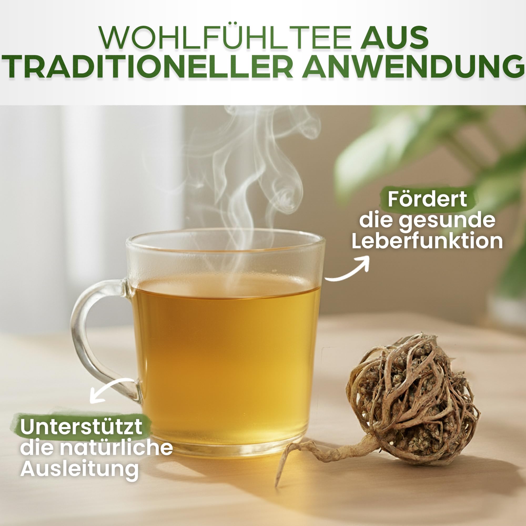 Rose von Jericho Chajarat Mariam x1 - Echte Maryam Pflanze - Wunderschöne Kaf Pflanze für Dekoration - Ideal für Ihre Wohnung oder als Geschenk