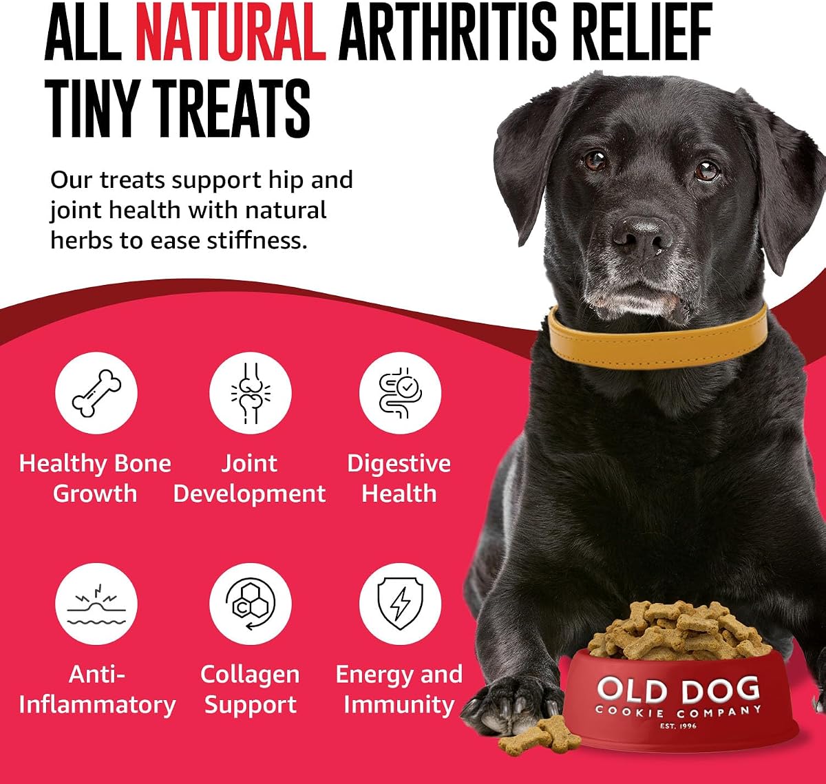 Old Dog Cookie Company Hip and Joint Support Tiny Treats | All Natural Arthritis Relief, 4 Calorie | Joint Support for Every Stage of Life | Small, Medium & Large Breeds | 8 oz