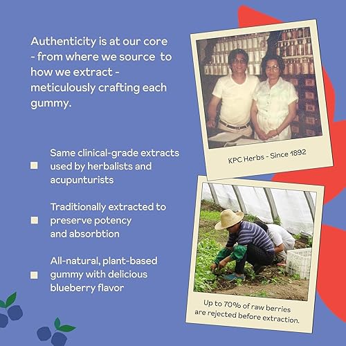 Vista 11 de Reprise Goji Berry Superfood Gummies – Antioxidante totalmente natural, digestión, 240 mg de potencia completa, baja en azúcar, veganas, 45 gomitas