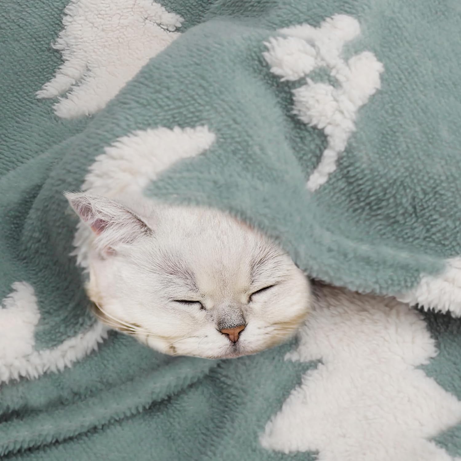 BORITAR 3D Fox Baby Blanket for Boys Girls Jacquard Fleece Fuzzy Toddler Nursery Blanket Soft Warm Cozy Blanket with 3D Animal Design for Infant or Newborn Home Decor (30 x 40 Inch, Sage Green) - Image 6