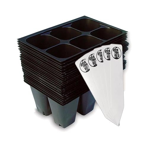 Seed Starter Trays, 144 Cells (24 Trays - 6 Cells