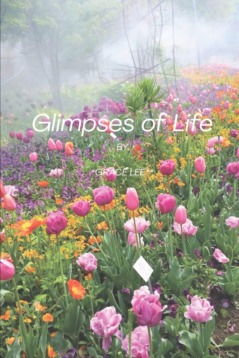 Glimpses of Life