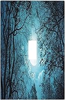 Vista 112 de Interruptor de Luz Cove Silla de Playa Paisaje Marino Océano Azul Placa de Pared de 3 Posiciones Placa de Interruptor de Luz Triple Palanca Costera