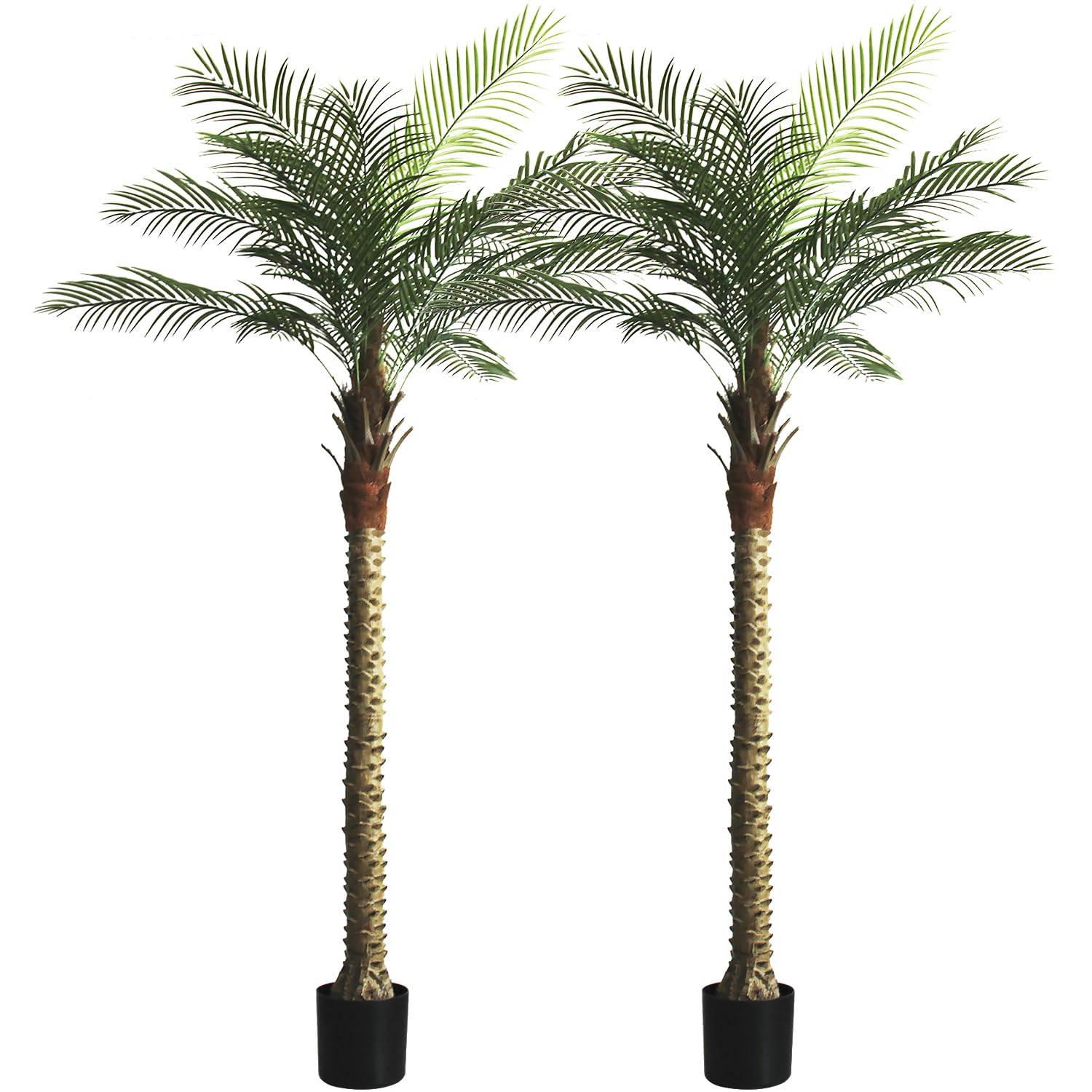 SeelinnS 2 Pack 8ft Sago Palm