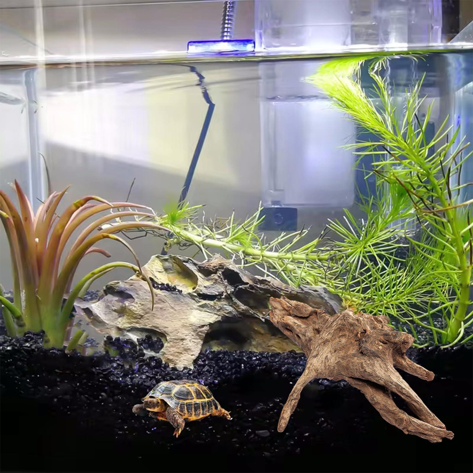 Legno Per Acquario Naturale Affondabile | Decorazione Pesci, 10-15 Cm, Paesaggio Subacqueo - Foto 6