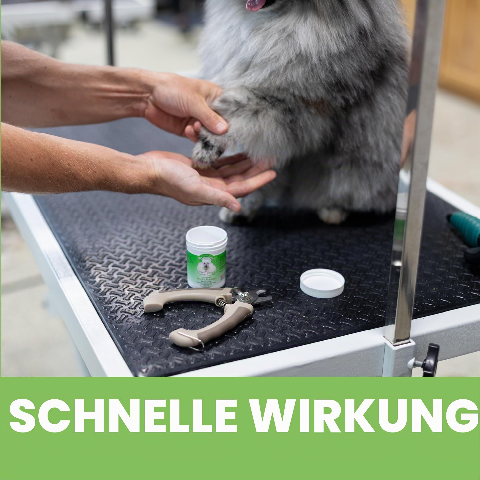 Bio-Groom - Sure-Clot Pulver - Blutstillendes Pulver für Hunde - Antiseptisches Gerinnungsmittel verengt die Blutgefäße - Stoppt Blutung bei kleinen Verletzungen - Auch für Vögel oder Katzen - 42 g