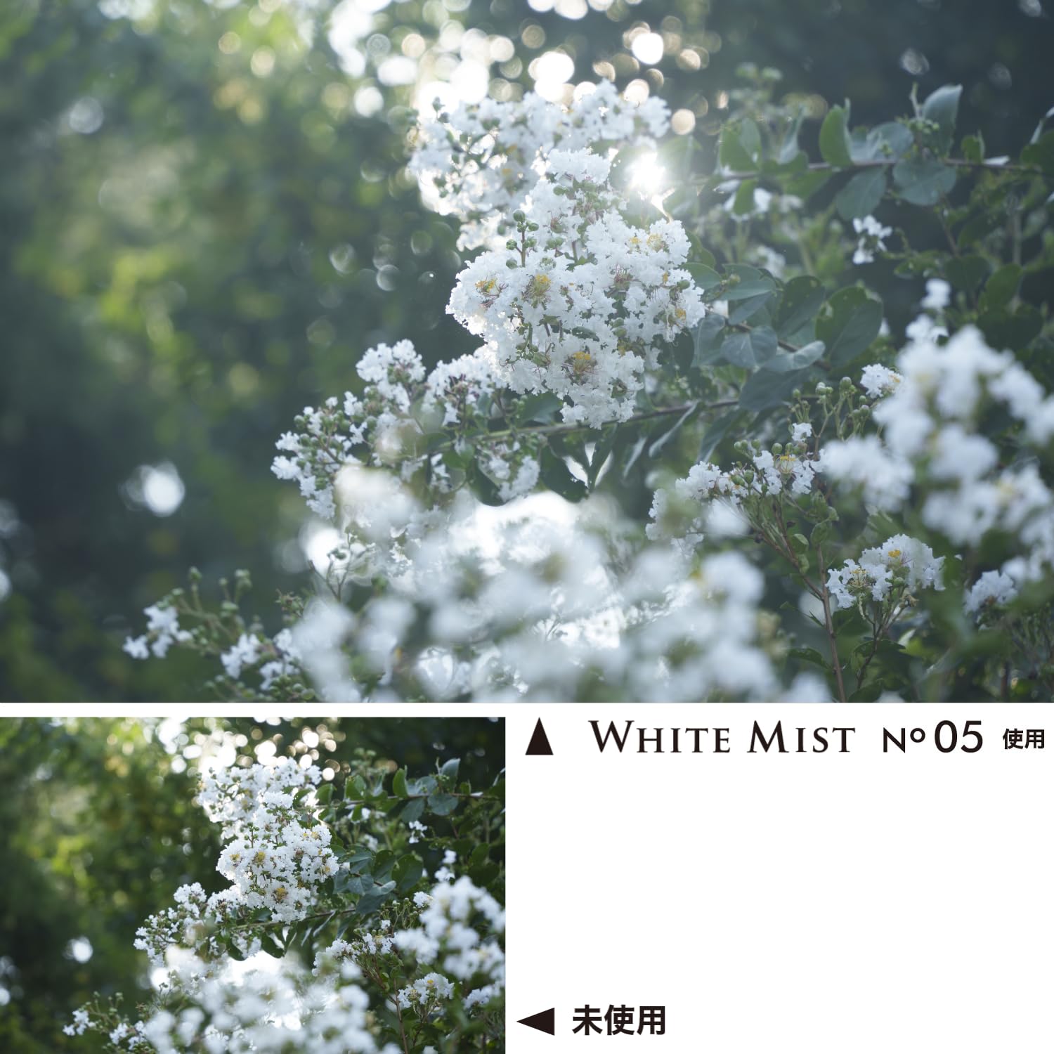 Amazon.co.jp: (Amazon.co.jp Exclusive) Kenko 167281 Mist Filter